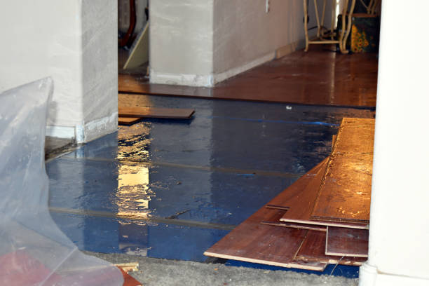 Professional Structural Drying And Dehumidification technician working in South Gardiner, ME